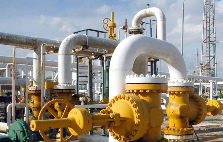 Untitled design (24)