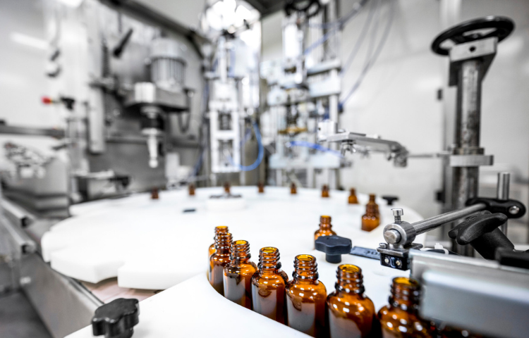 Untitled design (31)