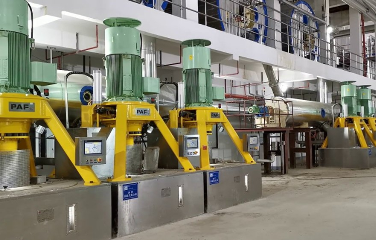 Untitled design (47)