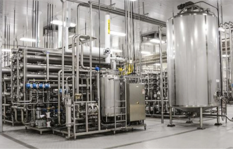 Untitled design (51)