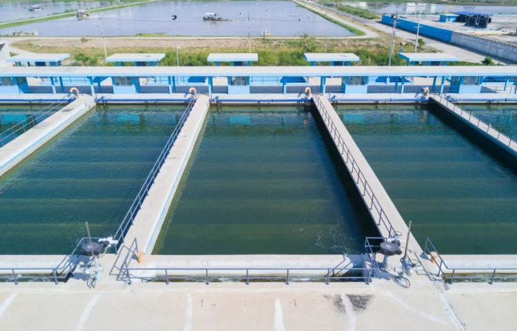 Untitled design (53)