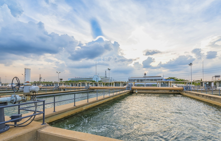 Untitled design (54)