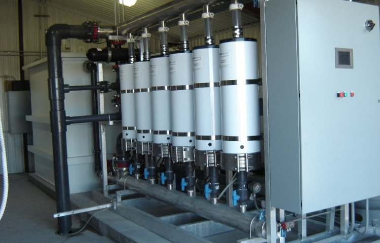 Untitled design (55)